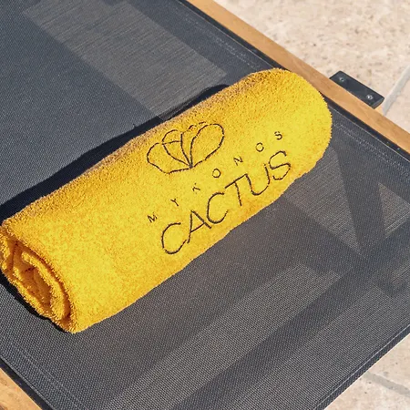 Mykonos Cactus-2